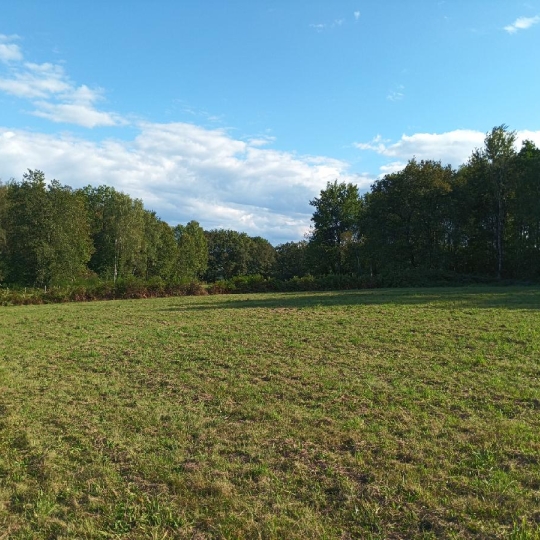  Aubusson Immobilier : Terrain | SAINT-MARC-A-FRONGIER (23200) | 4 660 m2 | 21 640 € 